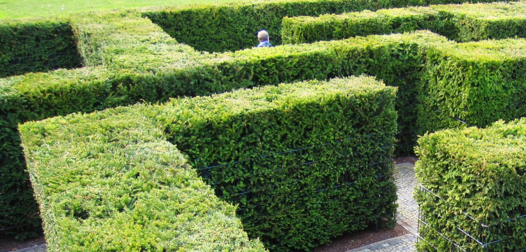 LIFE-COACHING /  SELBSTFINDUNGS-COACHING