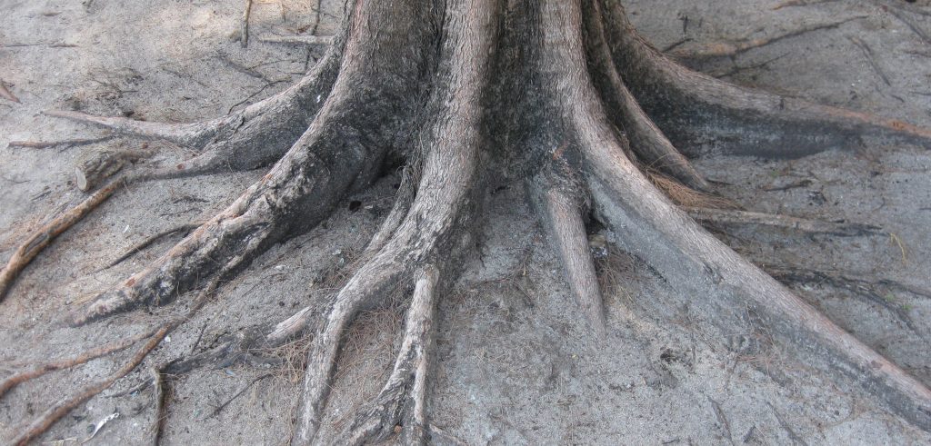 STRESSMANAGEMENT / RESILIENZ / MENTALTRAINING