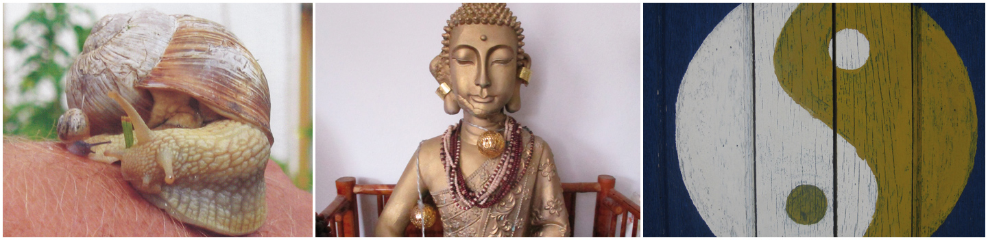 HomeTeaserAchtsamkaeit